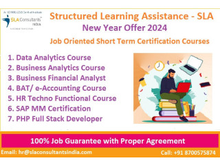 Accounting Training Course with Placement in Delhi, 2024 Offer 100% Placement, Free SAP FICO Course in New Delhi, Update New Skill in '24